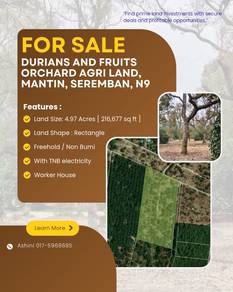 Agricultural-Land-for-sale-Mantin-Negeri-Sembilan