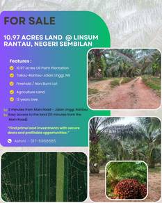 Agricultural-Land-for-sale-Rantau-Negeri-Sembilan