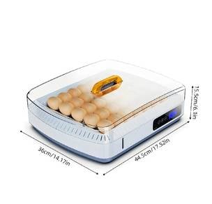 incubator 35egg