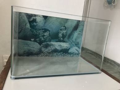Aquarium Curve