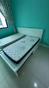Single Bed Frame + Pull Out Drawer + Mattress