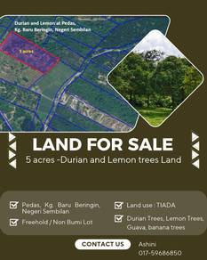 Agricultural-Land-for-sale-Pedas-Negeri-Sembilan