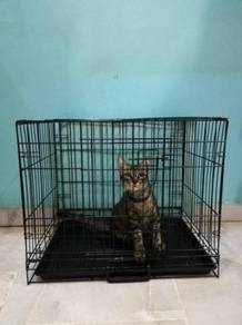 Cage - All Leisure/Sports/Hobbies for sale in Malaysia - Mudah.my