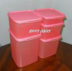 Tupperware Take A Lot Small (1) 3.7L - Pink