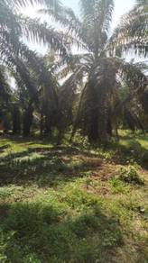 5 acres - Land for sale in Malaysia - Mudah.my