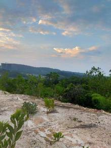 Agricultural-Land-for-sale-Salak-Tinggi-Selangor
