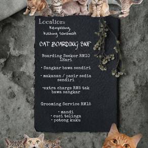 Kucing - Pets for sale in Malaysia - Mudah.my