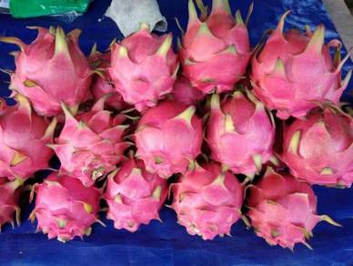 Buah - Almost anything for sale in Malaysia - Mudah.my