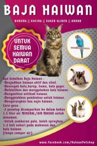 Haiwan Pets For Sale In Malaysia Mudah My