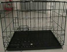 Sangkar kucing - Pets for sale in Malaysia - Mudah.my