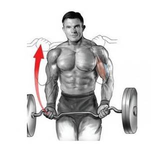 Barbell ez bar/curl bar-SMARTLIFE