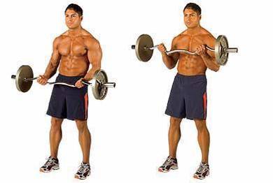 Barbell ez bar/curl bar-SMARTLIFE