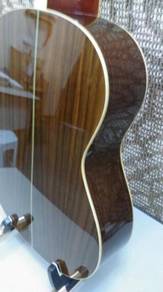 Gecko Solid Top Classical Guitar