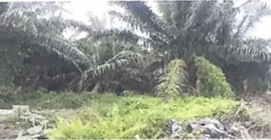 [MURAH|MUST VIEW] Tanah 2 ekar johan setia klang