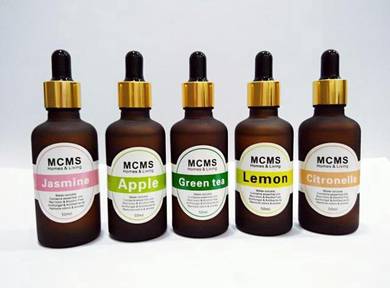 Apple 50ml Essential oil aroma humidifier burner