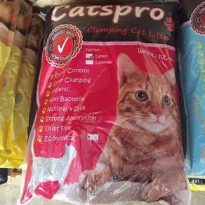 Pasir kucing - Pets for sale in Malaysia - Mudah.my