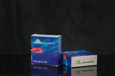 Yoyoapartment competition yoyo strings 10pcs