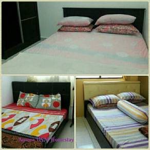 Aurora USM 3 rooms Homestay