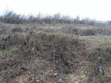 Sungai lalang semenyih land next to nirvana memorial park