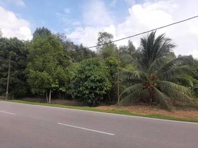 Tanah Tepi Jalan Besar Di Pohon Tanjung Pasir Mas