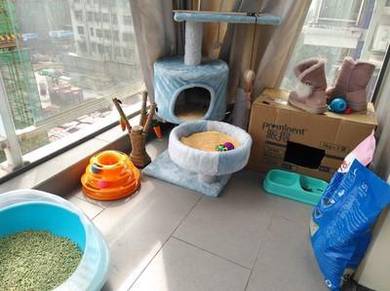 Sangkar rumah kucing - Almost anything for sale in Malaysia 