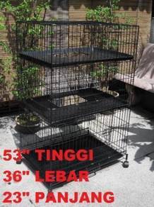 Kucing - Almost anything for sale in Malaysia - Mudah.my