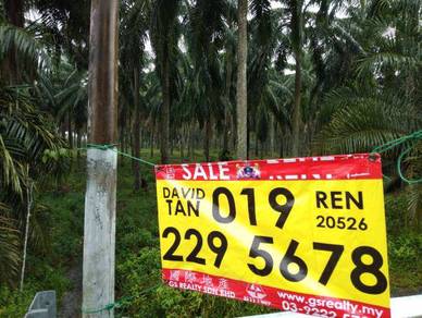 Agricultural-Land-for-sale-Klang-Selangor