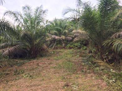 Agriculture Land For Sale At Ulu Bernam,Behrang,Hulu Selangor,Selangor