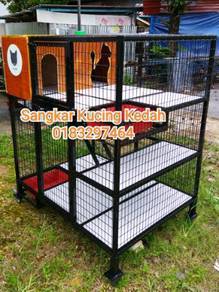 Kucing dengan sangkar - Pets for sale in Malaysia - Mudah.my