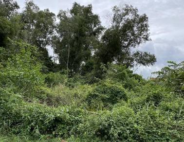 Lagenda Heights Bungalow Land for Sale