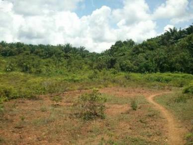 Tanah 12.46 Ekar FH Malay Reserve Zon Industri Pekan Mahang Kulim