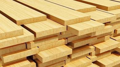 Pine wood import