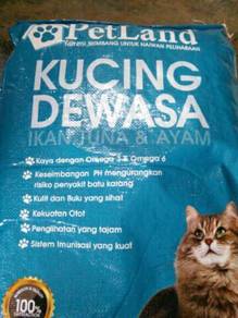 Cat - Almost anything for sale in Malaysia - Mudah.my