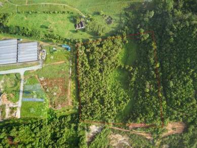 10 Acre Freehold NON BUMI Agriculture Land Jenderam Hulu Sepang