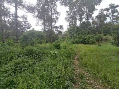 Non Bumi Freehold Dusun Durian Batang Kali 2.7 Ekar