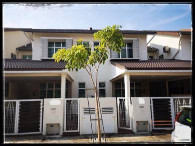 Kesedar Putra Homestay Accommodation Homestays For Rent