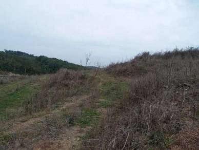 Semenyih land 17 ACRE RESIDENTIAL ZONING