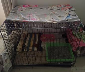 Cage cage cage - Almost anything for sale in Malaysia - Mudah.my