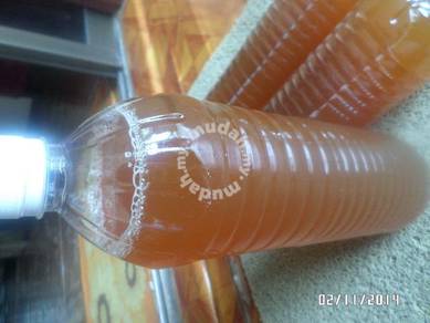 Effective Microorganisms(Enzim Mikro)