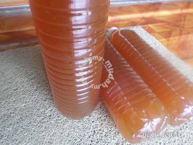Effective Microorganisms(Enzim Mikro)