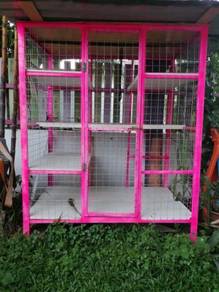 Kucing dengan sangkar - Almost anything for sale in Malaysia 