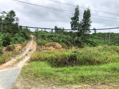 200 acres | Jalan Marak Parak | Kota Marudu | Timbang Batu | Roadside