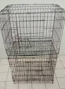 Kucing - All Leisure/Sports/Hobbies for sale in Malaysia - Mudah.my