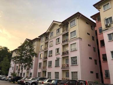 Delima Apartment Bukit Jelutong Almost Anything For Sale In Malaysia Mudah My