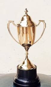 Piala perak - silver trophy