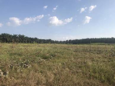 Taman Permai Utama, Gurun agriculture land for sale