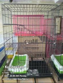 Cat - Almost anything for sale in Malaysia - Mudah.my