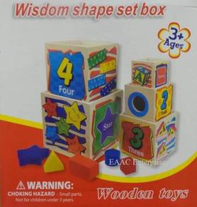 Educational Wooden Wisdom Learning Shape of Box