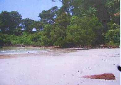 Beach Front Commercial Land #Beside Purnama Beach#Batu8 #Port Dickson