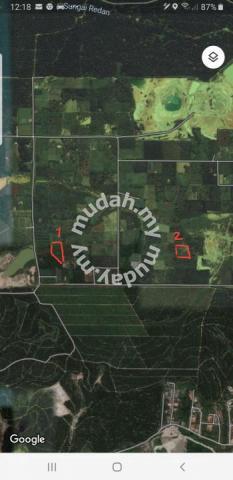 Freehold Agri Land in Sg redan at Sg Tiram Johor bahru 2